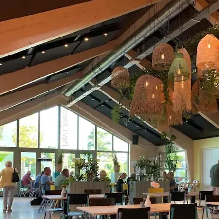 Luxe tent Stargazer Tent Met Sterrenuitzicht Callantsoog