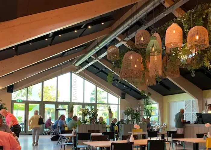 Luksustelt Stargazer Tent Met Sterrenuitzicht Callantsoog