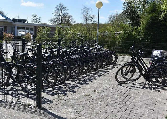 Stargazer Tent Met Sterrenuitzicht *
