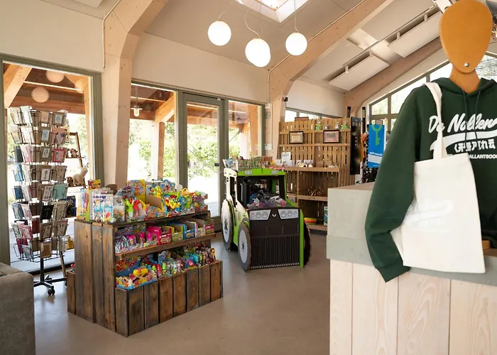 Stargazer Tent Met Sterrenuitzicht Luksustelt Callantsoog